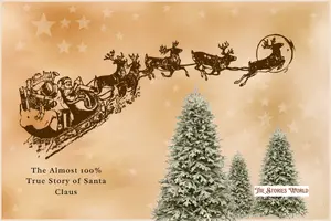 The Almost 100% True Story of Santa Claus