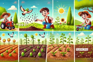 The Parable of the Sower for Kids - An Act of Kindness